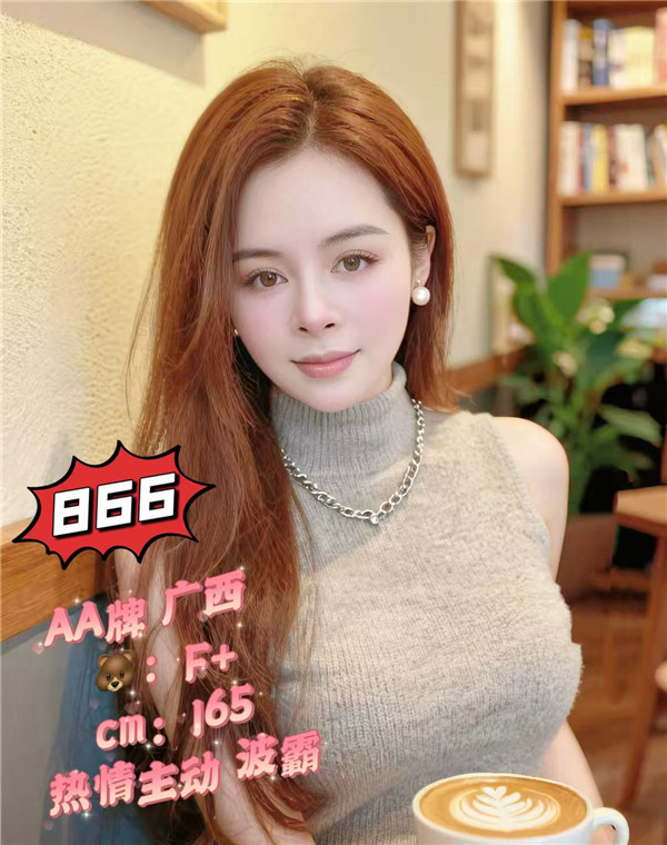 紫龙ZL866