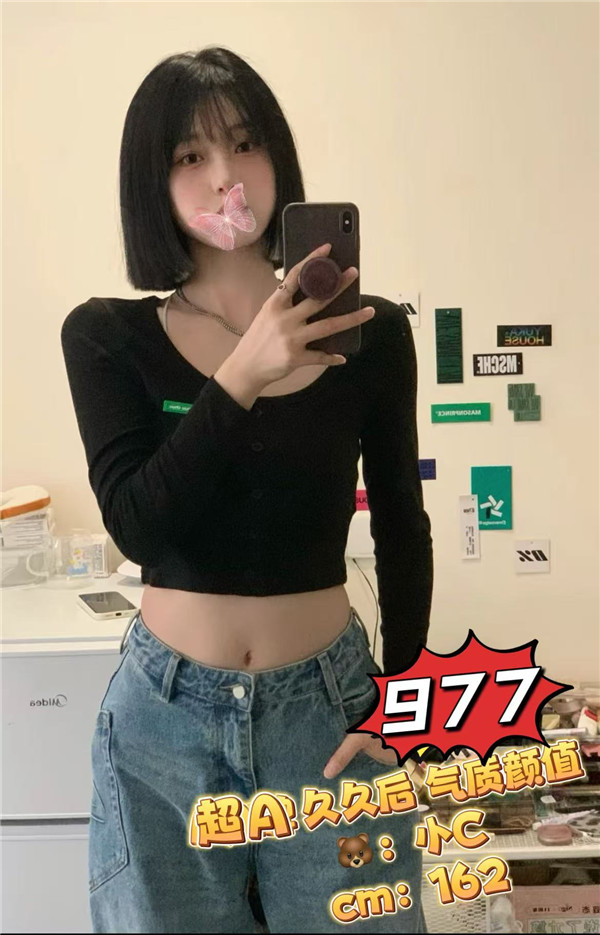 紫龙ZL977